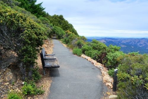 A wooden bench along a winding path surrounded by greenery, overlooking a scenic mountainous landscape.