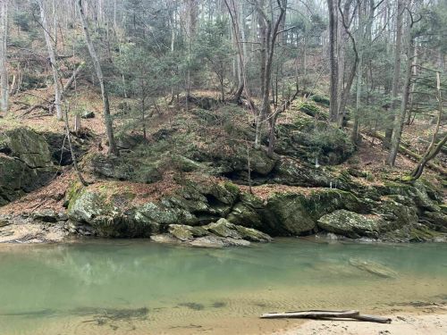 A serene riverbank scene with rocky terrain, surrounded by trees and a calm, greenish water body.