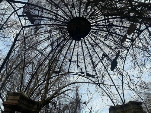A skeletal structure of a gazebo, overgrown with vines, against a cloudy sky.