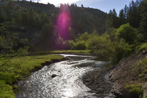 A winding river flows through a lush green landscape, surrounded by trees and bathed in sunlight.