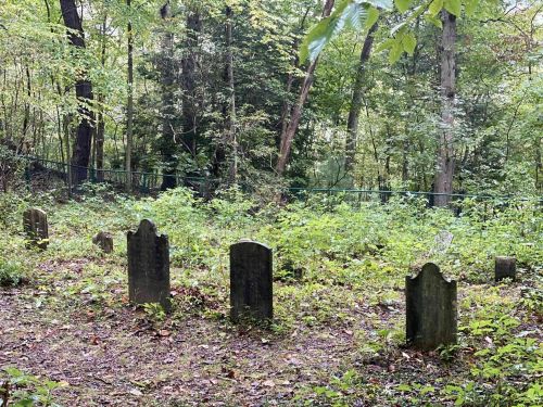 A serene, overgrown cemetery with several weathered gravestones surrounded by trees and greenery.
