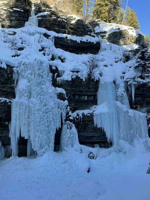 Frozen waterfalls cascading down a rocky cliff, surrounded by snow and evergreen trees.
