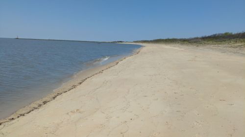 A serene beach scene with a sandy shore, calm water, and clear blue sky, bordered by sparse vegetation.