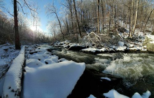 A snowy riverbank with flowing water, surrounded by trees and a clear blue sky. Sunlight peeks through the branches.
