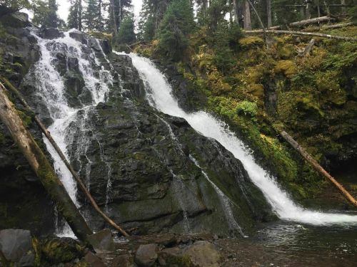 A cascading waterfall flows over rocky terrain, surrounded by lush green trees and mossy rocks.