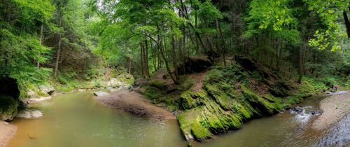 A serene forest scene featuring a winding creek surrounded by lush green trees and moss-covered rocks.