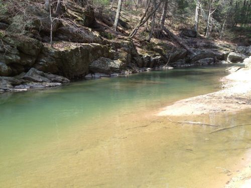 A serene river flows through a wooded area, with clear water and rocky banks under dappled sunlight.