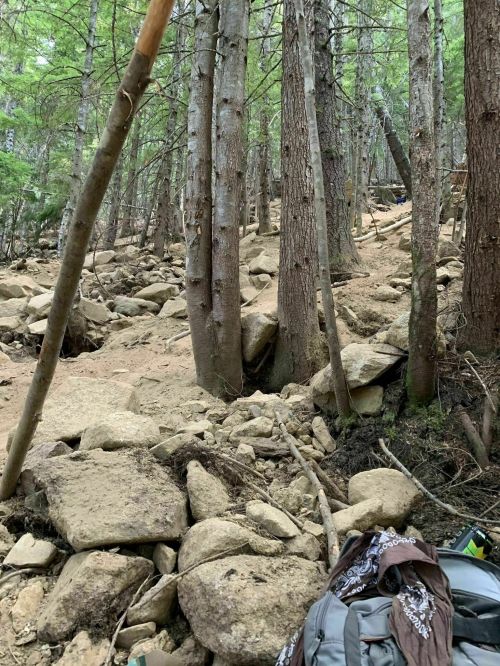 A rocky forest trail with tall trees and scattered boulders, surrounded by lush greenery. A backpack is visible in the foreground.