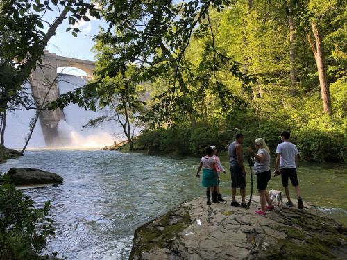 A group of people stands by a river, with a dam and waterfall in the background, surrounded by lush greenery.