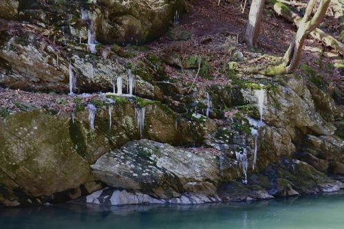 Icicles hang from moss-covered rocks beside a calm, clear stream in a wooded area.