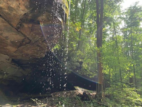 A waterfall cascades from a rocky overhang, surrounded by lush green trees in a serene forest setting.