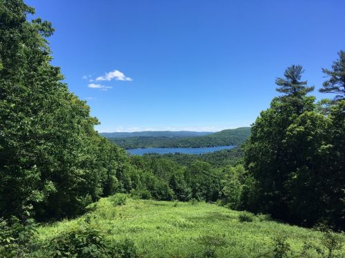 A scenic view of a lush green landscape with a lake and mountains under a clear blue sky.