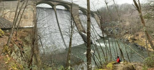 A person in a red jacket sits by a river, gazing at a large dam with water cascading down, surrounded by trees.