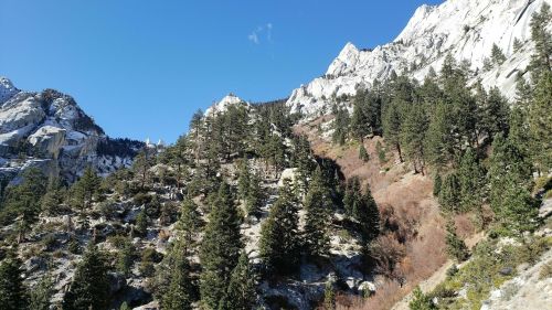 A scenic mountain landscape with rocky peaks, lush green trees, and a clear blue sky.