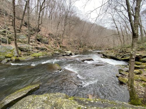 A serene river flows through a rocky landscape, surrounded by bare trees and a peaceful, natural setting.