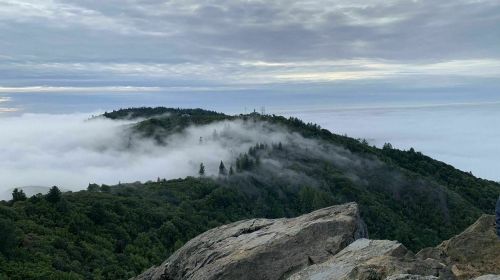 A misty mountain landscape with lush greenery and clouds rolling over the peaks under a cloudy sky.