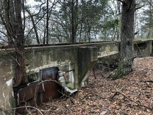 Abandoned concrete structure partially covered by trees and foliage, with rusted metal nearby on a forest floor.