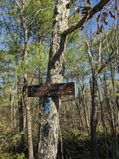 Sign on a tree directing to "Charcoal Trail to Olivia's Overlook," surrounded by trees in a wooded area.