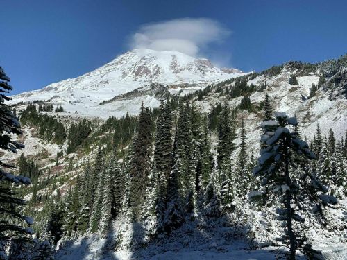Snow-covered mountain with a cloud cap, surrounded by evergreen trees and a clear blue sky.