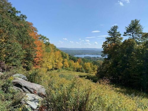 A scenic view of a colorful autumn landscape with trees, a lake, and blue skies in the background.