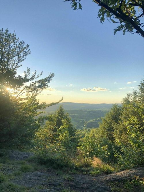 A scenic view of rolling hills and trees under a clear blue sky, with sunlight filtering through the leaves.