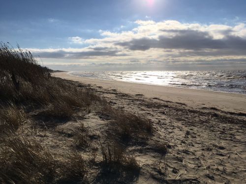 A serene beach scene with gentle waves, sandy shore, and tall grass under a partly cloudy sky.