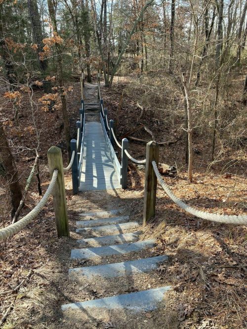 A wooden bridge with rope railings spans a wooded area, surrounded by trees and fallen leaves.