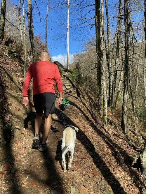 A person in a red shirt walks a dog along a wooded trail on a sunny day.
