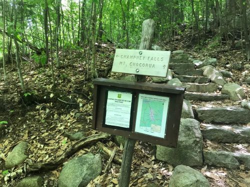 Trail sign for Champney Falls and Mt. Chocorua, with a map and information board beside stone steps in a wooded area.