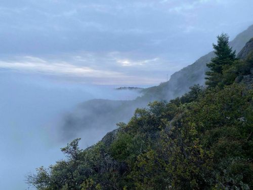 A misty landscape with rolling fog over hills, trees in the distance, and a cloudy sky.