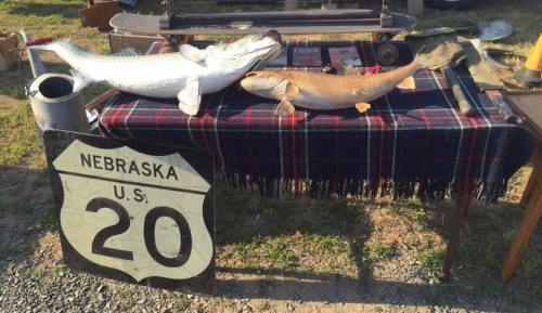 A table displaying two large fish and a vintage Nebraska U.S. Route 20 sign, set outdoors.