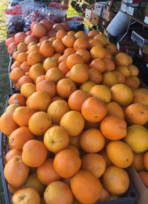 A large display of fresh oranges stacked in baskets at a market, with colorful candy in the background.