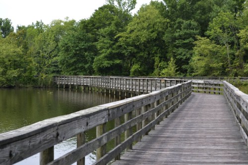 A wooden boardwalk curves over a calm lake, surrounded by lush green trees and foliage.