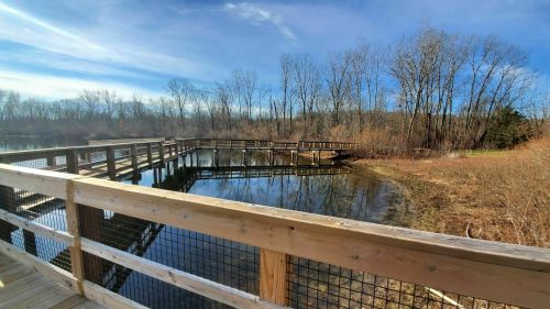 A wooden boardwalk stretches over a calm pond, surrounded by trees and blue skies.