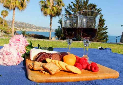 A picnic spread with cheese, crackers, fruit, and two glasses of red wine, set against a scenic coastal backdrop.