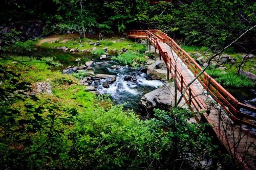 A wooden bridge spans a serene stream, surrounded by lush greenery and rocky banks in a tranquil forest setting.