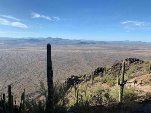 A vast desert landscape with cacti, mountains in the distance, and a clear blue sky. Two hikers are visible on a trail.