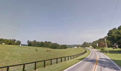 A rural road lined with a fence, with horses grazing in a green field and trees in the background under a clear sky.