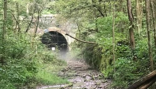 A dark tunnel entrance surrounded by lush greenery and trees, with a misty path leading towards it.