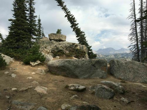 A rocky landscape with scattered boulders and leaning trees under a cloudy sky. Mountains are visible in the distance.
