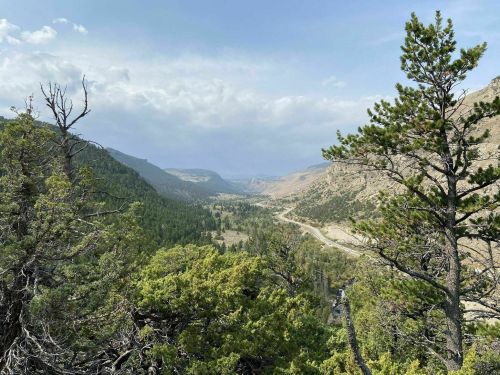 A scenic view of a valley surrounded by mountains, with trees in the foreground and a winding road in the distance.
