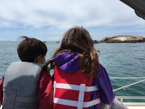 Two children in life jackets sit on a boat, looking out at the water and a rocky shore in the distance.