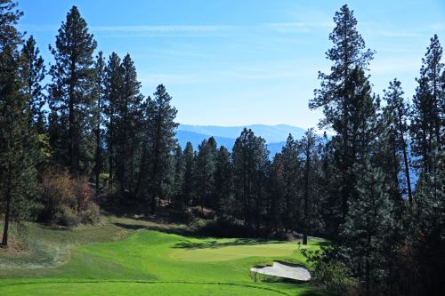 A scenic view of a golf course surrounded by tall pine trees and distant mountains under a clear blue sky.