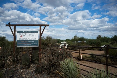 Sign for the Southwest Wildlife Conservation Center, surrounded by desert vegetation and a cloudy sky.