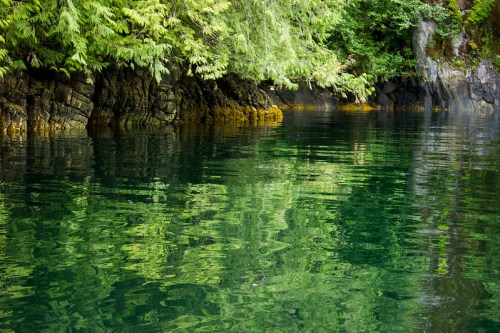 Serene water reflecting lush green foliage and rocky cliffs in a tranquil natural setting.