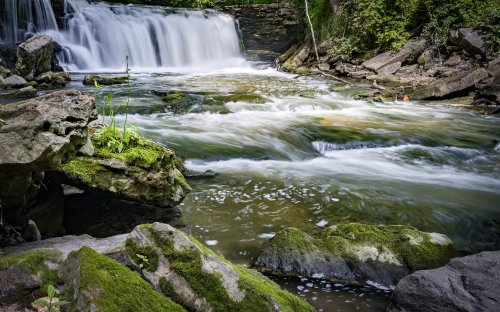 A serene waterfall cascades over rocks into a tranquil stream, surrounded by lush greenery and moss-covered stones.