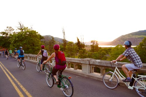 A group of cyclists riding along a scenic road with trees and mountains at sunset.