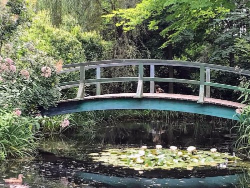 A serene garden scene featuring a wooden bridge over a pond with lily pads and lush greenery.