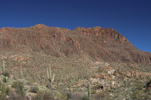 A rugged mountain landscape with cacti and rocky terrain under a clear blue sky.