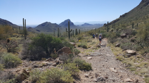 A rocky trail winds through a desert landscape with cacti, leading to distant mountains under a clear blue sky.